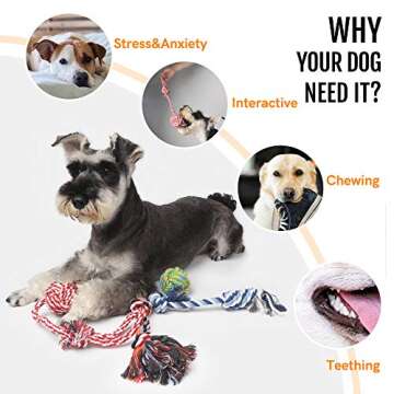 PetiFine Dog Rope Toys, Puppy Teething Toys, Chew Toys, Tug Toys for Puppies Small Medium Dogs, Toug...