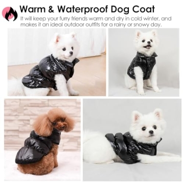 AOFITEE Waterproof Dog Coat: Winter Snowsuit for Small Dogs