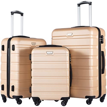 Coolife Luggage 3 Piece Set Suitcase Spinner Hardshell Lightweight TSA Lock (champagne new, 3 piece ...