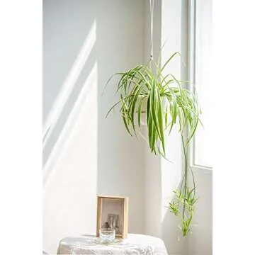 Mkono Boho Metal Hanging Planter with Plastic Pots, Set of 2 , Modern Mid Century Flower Pot Plant Holder in Diamond and Circle Shape, Fits 6 Inch , Gold