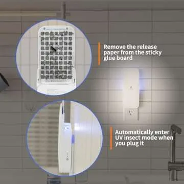 Kiwinurse Indoor Fly Trap - Effective and Elegant Insect Control