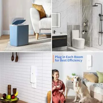 Kiwinurse Indoor Fly Trap - Effective and Elegant Insect Control