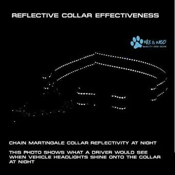 Max and Neo Stainless Steel Chain Martingale Collar - We Donate a Collar to a Dog Rescue for Every Collar Sold