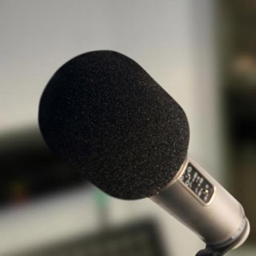 Rode WS2 Wind Shield for NT Series Microphones