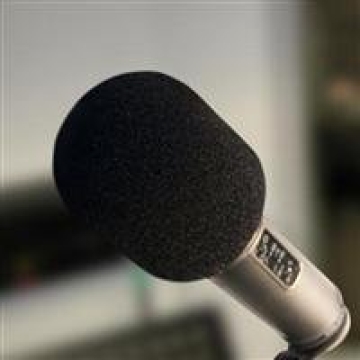 Rode WS2 Wind Shield for NT Series Microphones