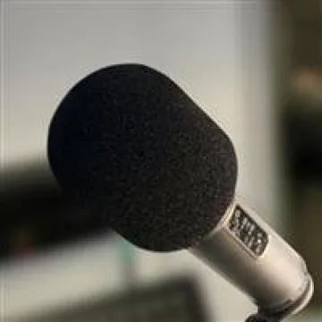 Rode WS2 Wind Shield for NT Series Microphones