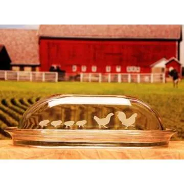 Armour Etch Glass Etching Cream - Create Stunning Designs on Glass Surfaces - Etching Cream for Glass by Armour Products - 10 oz Net Weight