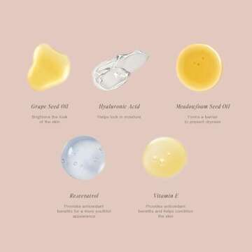 Jouer Essential High Coverage Concealer Pen - Under Eye Concealer for Dark Circles - Brightening Makeup for Eye Circles - Color Corrector Eye Primer with Hyaluronic Acid and Vitamin E