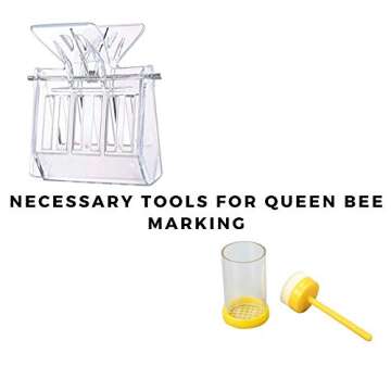 Beekeeping Supplies Bee Smoker Starter Kit, Beekeeping Tools for Beekeepers 14 Pcs Professional Bee Hive Tools