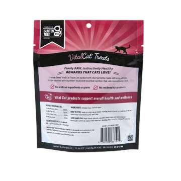 Vital Essentials Freeze Dried Chicken Giblets Cat Treats - 1 oz