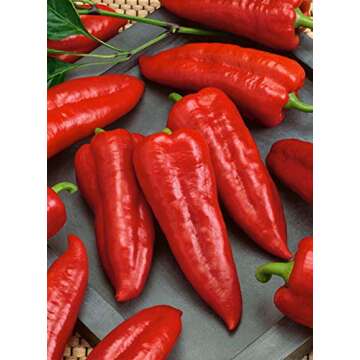 75+ Marconi Red Pepper Seeds - Sweet Italian Heirloom Variety