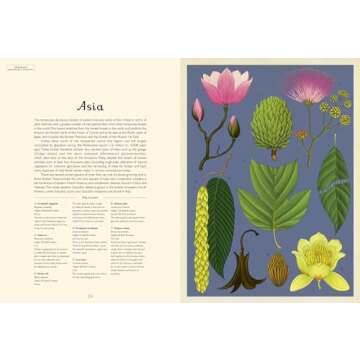 Arboretum: Welcome to the Museum