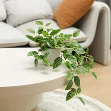 SOGUYI 15 Inch Faux Peperomia Plant for Indoor Decor