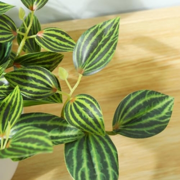 SOGUYI 15 Inch Faux Peperomia Plant for Indoor Decor