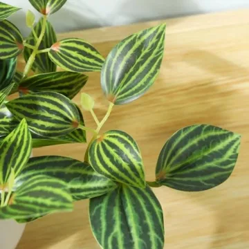 SOGUYI 15 Inch Faux Peperomia Plant for Indoor Decor