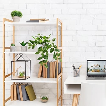 SOGUYI 15 Inch Faux Peperomia Plant for Indoor Decor