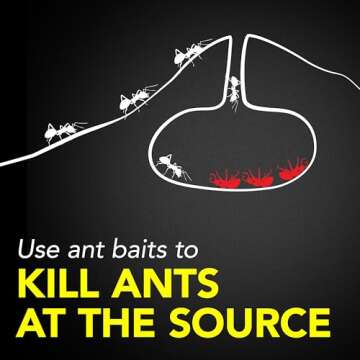 Raid Ant Killer Baits, Child Resistant Bug Killer for Indoor Home Use, 0.24 Oz, 8 Count