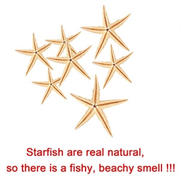 Ogrmar 90 Pcs Small Natural Starfish for Crafts