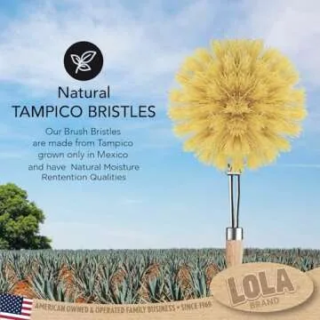 Lola Products Original Tampico Vegetable & Dish Wood Brush, 3" Head, Sustainable, Tampico Bristles, Easy Head Only Replacement, 1 Pack