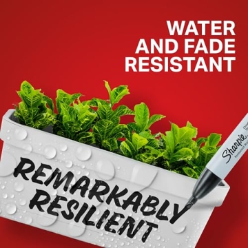 Sharpie Permanent Markers 12 Count with Chisel Tip