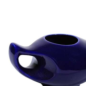 HealthGoodsIn Ceramic Neti Pot, Dishwasher Safe, Premium Handcrafted with 2 Silicone Nozzle and Salt for Sinus - 225 Ml. Capacity (Elegant Violet)