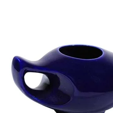 HealthGoodsIn Ceramic Neti Pot, Dishwasher Safe, Premium Handcrafted with 2 Silicone Nozzle and Salt for Sinus - 225 Ml. Capacity (Elegant Violet)
