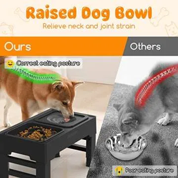 Experience Convenience with URPOWER Elevated Dog Bowls