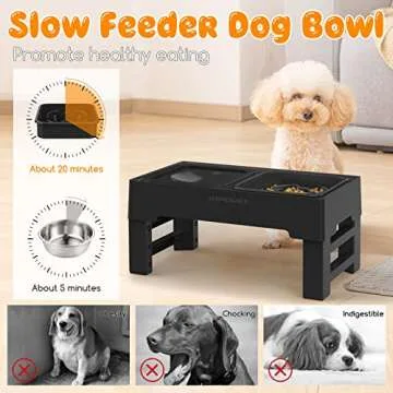 Experience Convenience with URPOWER Elevated Dog Bowls