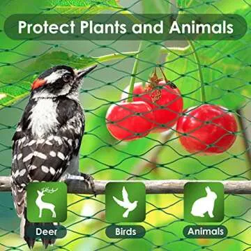 Bird Netting for Gardens 13x40 Ft - Protect Plants from Pests