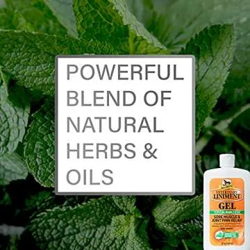 Absorbine Veterinary Liniment Topical Analgesic Sore Muscle and Arthritis Pain Relief Warming Liniment Rub, 12 Ounce Gel