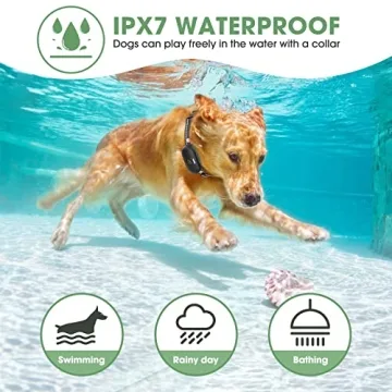 Dog Training Shock Collar - 3 Modes, Remote, Waterproof