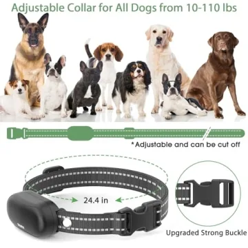 Dog Training Shock Collar - 3 Modes, Remote, Waterproof