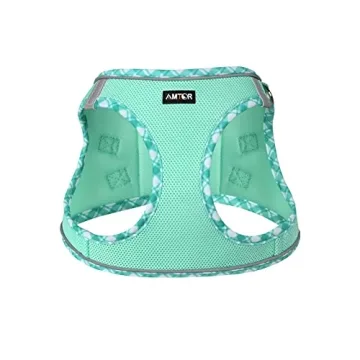 AMTOR No-Pull Dog Harness Leash Set Reflective Durable