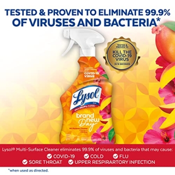 Lysol All-Purpose Cleaner - Effective and Refreshing