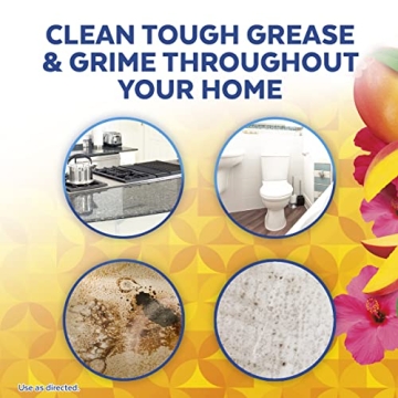 Lysol All-Purpose Cleaner - Effective and Refreshing