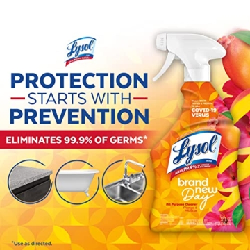 Lysol All-Purpose Cleaner - Effective and Refreshing