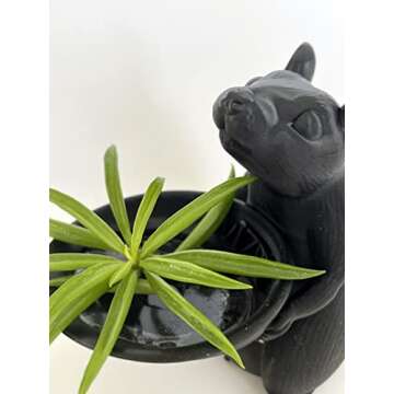 Black Epoxy Pigment (Colorant, Dye, Tint) 6cc (0.2 oz.)