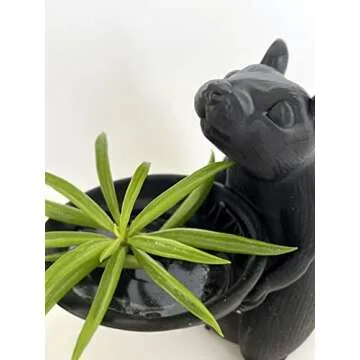 Black Epoxy Pigment (Colorant, Dye, Tint) 6cc (0.2 oz.)