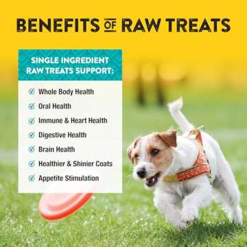 Northwest Naturals Raw Rewards Freeze-Dried Chicken Breast Treats for Dogs and Cats - Bite-Sized Pieces - Healthy, 1 Ingredient, Human Grade Pet Food, All Natural - 3 Oz