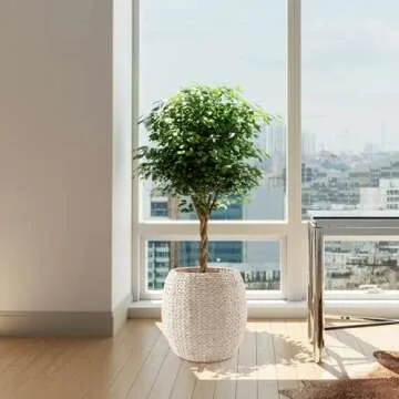 Casafield Handwoven Round Storage Basket with Lid