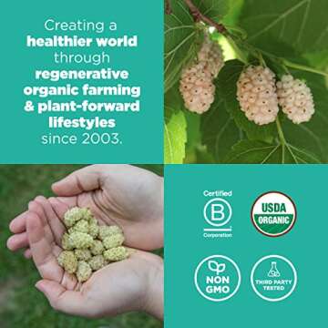 Navitas Organics Mulberries, 8 oz. Bag, 8 Servings — Organic, Non-GMO, Sun-Dried, Gluten-Free, Sulfite-Free (Pack of 1)