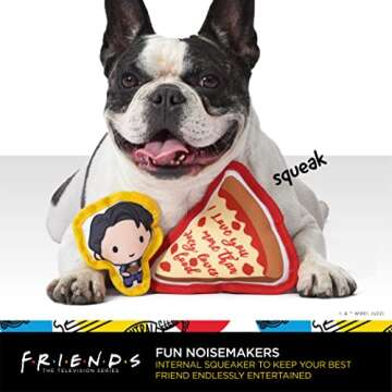 Friends the TV Show WB Friends: V-Day Love Food Canvas Squeaker Pet Toy - 2PC | Friends Joey & Pizza Dog Toy 2PC Canvas Squeakers| Friends “Better Together“ Toy for Dogs Stuffed Characters