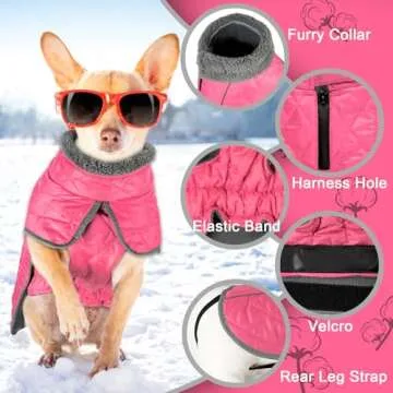 Stylish Dog Winter Coat for Ultimate Warmth and Comfort