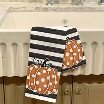 ARKENY Hello Pumpkin Fall Kitchen Towels Set of 2