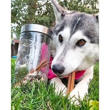 Maxwell Clear Glass Pet Treat Canister by Amici 56 oz