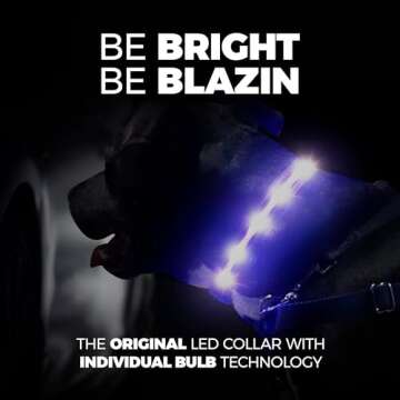 BLAZIN Brightest Light Up Dog Collars - USB Rechargeable & Waterproof