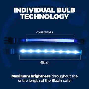 BLAZIN Light Up Dog Collars - Safety & Style Combined