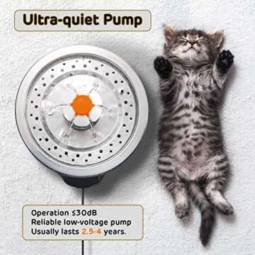 iPettie Stainless Steel Cat Water Fountain with LED Light