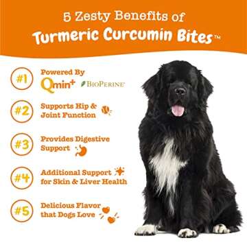 Zesty Paws Turmeric Curcumin for Dogs - for Hip & Joint Mobility Supports Canine Digestive Cardiovas...