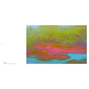 Transcendence Richard Mayhew Art Book on American Landscapes